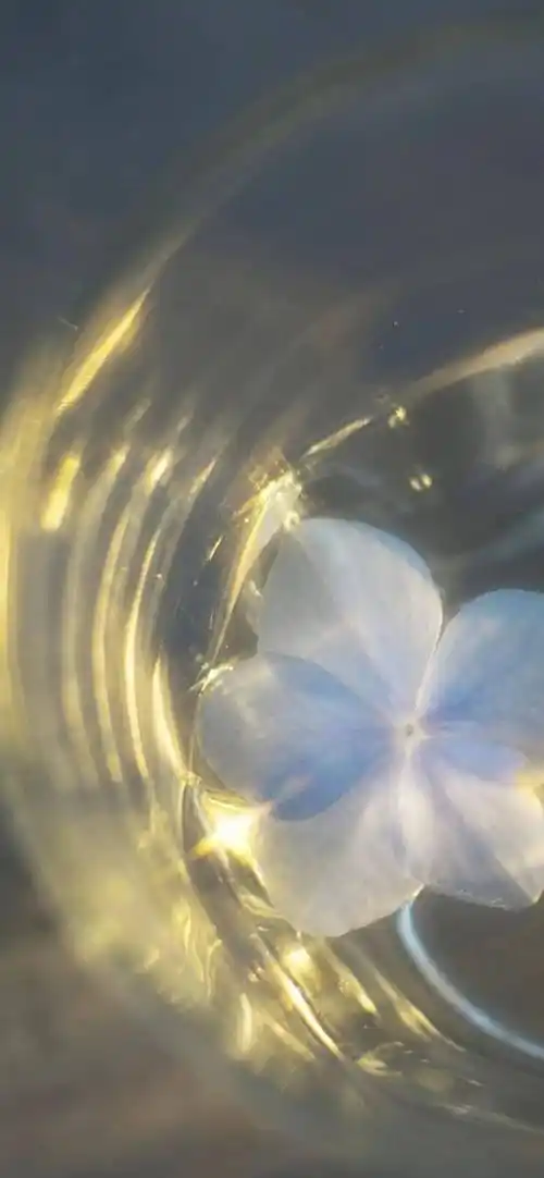 壁纸| 小众ins风锁屏壁纸