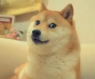 单身狗 - 范冰冰李晨我们-发表情