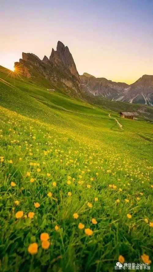 大草原风光手机壁纸