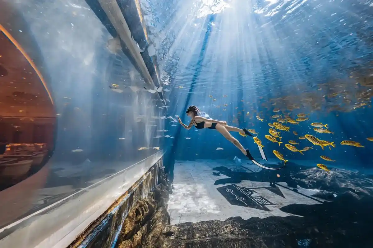 自由潜 #潜水 #双鱼座 #水下摄影 想我了就来海边找我, - 抖音