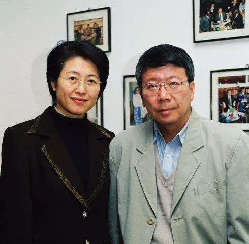 傅莹丈夫(撑起这个家的却是我老婆")