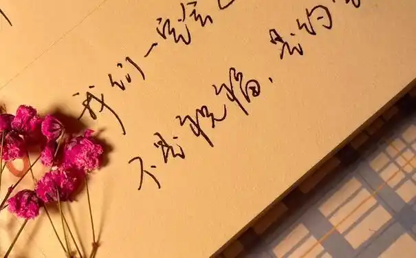 温柔到爆的手写文案短句,抖音最火手写文案短句干净治愈?-语录网