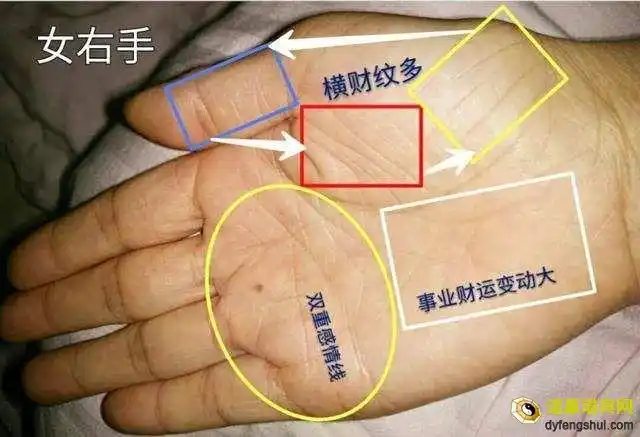 感情线手掌纹路断手相分析