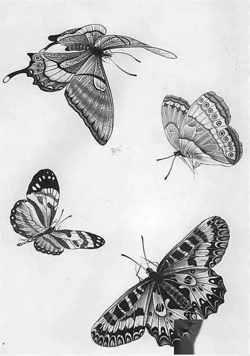 名家白描花鸟之蝴蝶篇