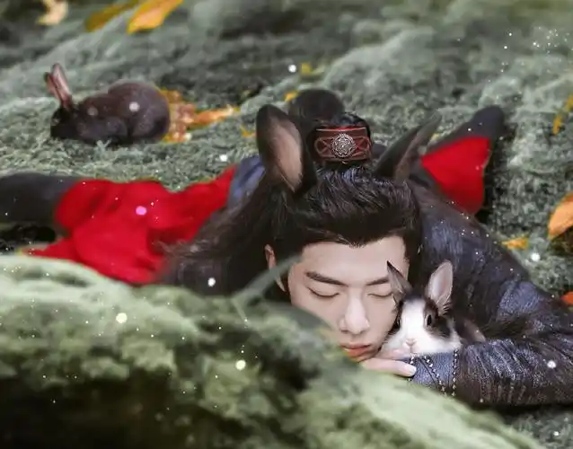 继《陈情令》后肖战再出演仙侠剧,看到女主后,网友:爆款预定