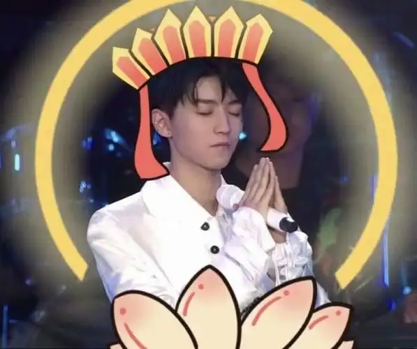 锦鲤王俊凯小仙子