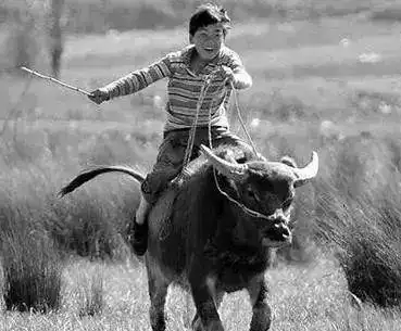 记忆中的凤阳凤阳怀旧老照片小伙伴们还记得吗