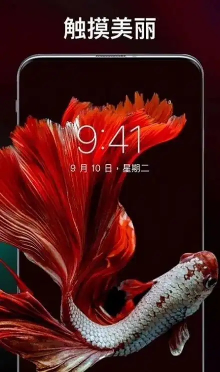 应用截图灵猫主题壁纸app是一个很专业的壁纸软件,灵猫主题壁纸软件