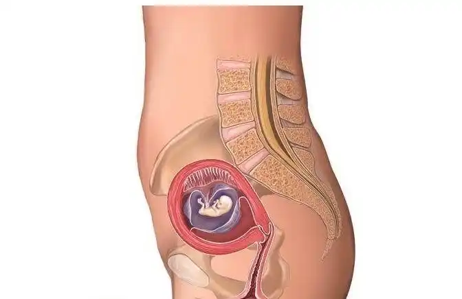 怀孕1-9个月孕妇肚子变化图,对照一下看宝宝发育正常吗!