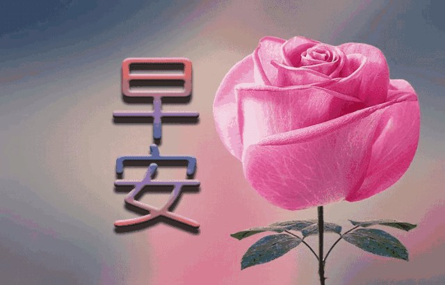 大年初十情人节早晨好动态表情图片 大年初十早上好问候动态图片表情