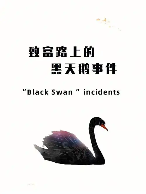 致富路上的黑天鹅事件管好人生中的四只黑天鹅96意外和疾病96婚姻