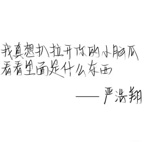 更新|严浩翔金句