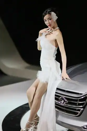 范冰冰参加车展