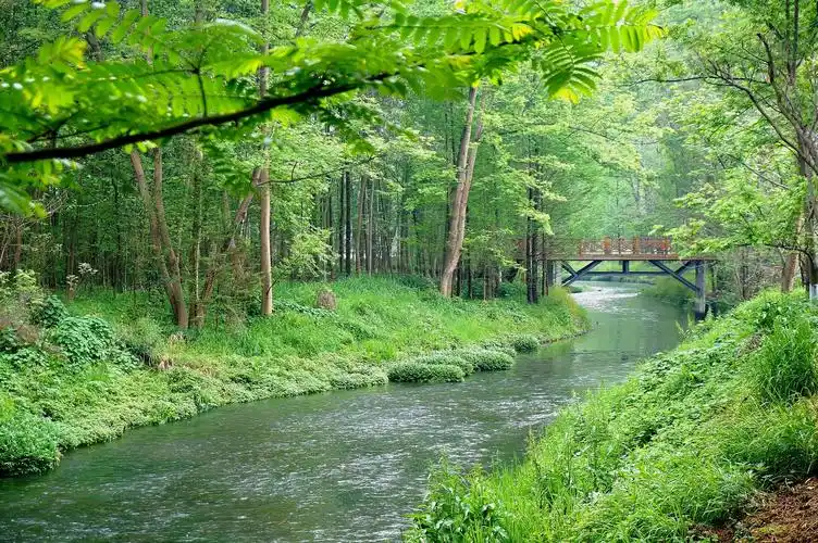 小河两岸春来早