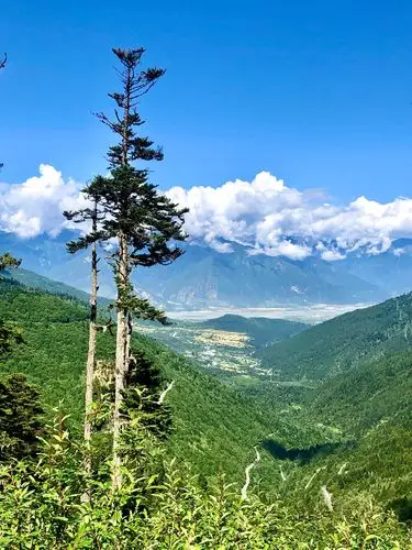 7.27 鲁朗林海和功德林草原