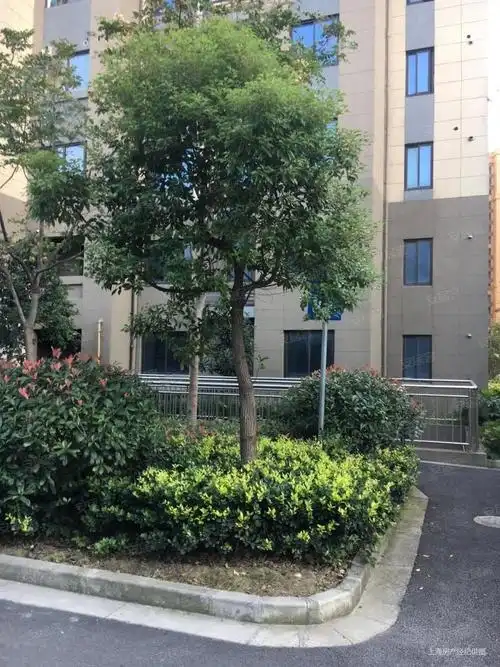 实拍 景悦名苑豪装带地暖 菊园实验小学 业主委托 固定车位