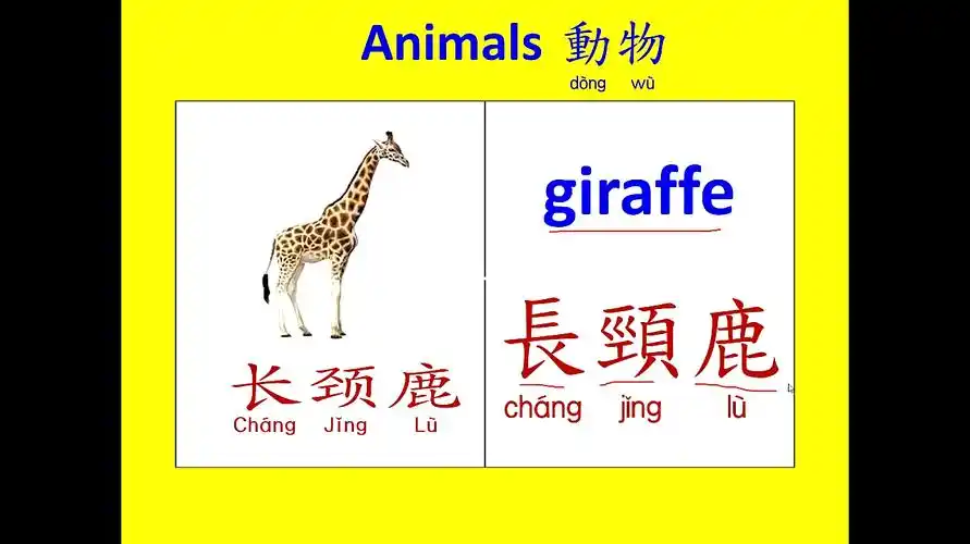 长颈鹿英文怎么拼写-母婴亲子视频-搜狐视频