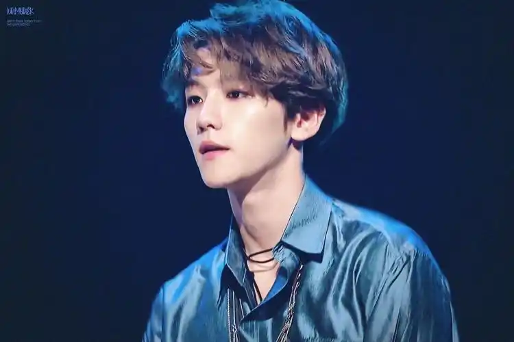 每日爱豆舞台安利:exo- lotto 著名蓝丝绸鲨人事件