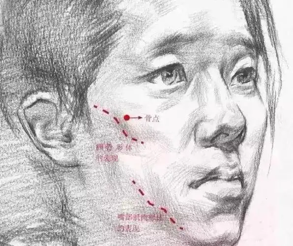 因此在表现女性素描头像时不要害怕把对象画成"男性",或者画"木"了,要