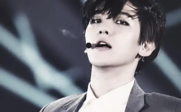 exo*边伯贤*吴世勋*鹿晗*吴亦凡*张艺兴*朴灿烈*黄子韬*都暻秀*金钟仁