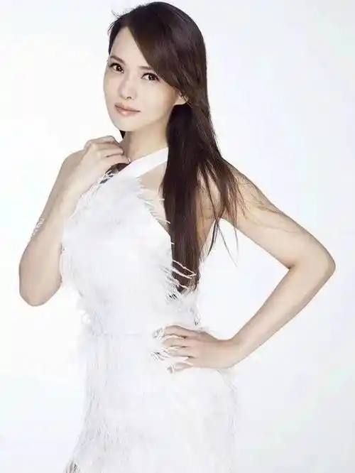 中国台湾女歌手演员伊能静经纪公司