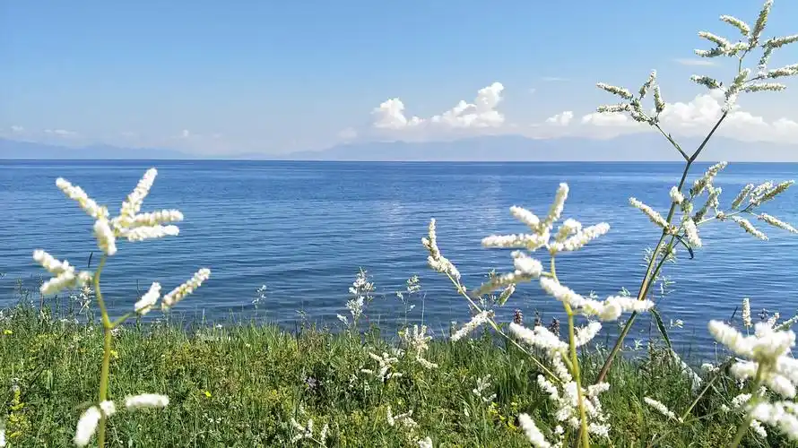 辽阔的草原,湛蓝的湖泊,五彩的鲜花,高耸的雪山这就是我对新疆的认知
