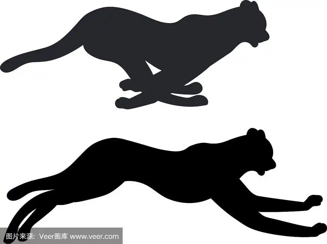 猎豹跑的剪影