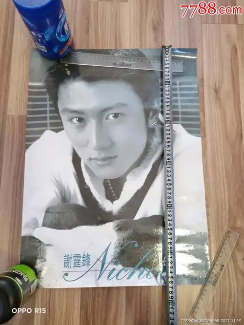 谢霆锋_明星海报_第1张_7788画册网