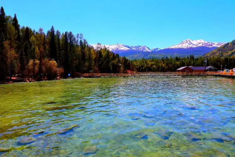 人间仙境喀纳斯风景如画