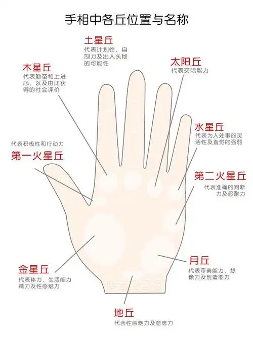 什么是掌丘?手纹风水看人生运势