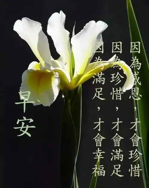 春天星期二早上好问候语图片大全 最新微信早安祝福图片 最新早上好