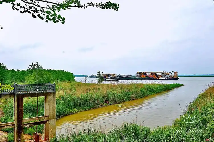 在美丽神奇的赤山岛上,飞来了一群快乐的"老麻雀"