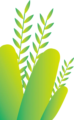 图案图片大全_绿色树叶装饰图案图片素材【png免费下载】-90设计网