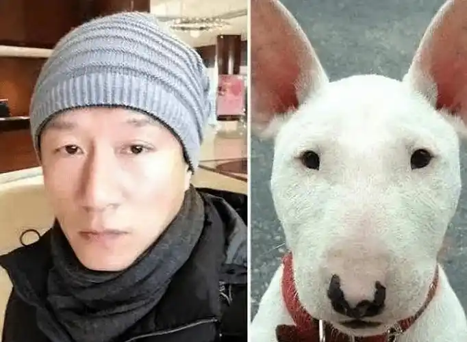 十大撞脸明星你最像谁(撞脸最可怕的十个明星)