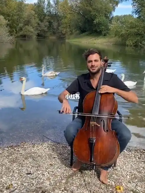 豪瑟大提琴天鹅湖