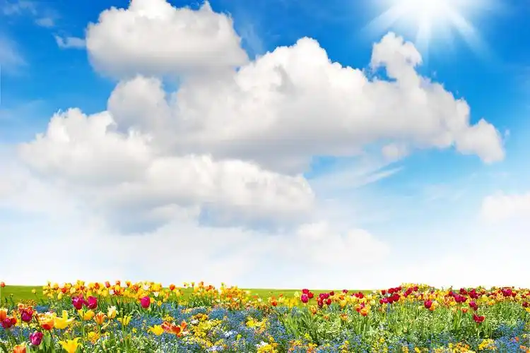 大自然的独特魅力 头顶蓝天白云,身边花草树木,空气中弥漫着浓郁的