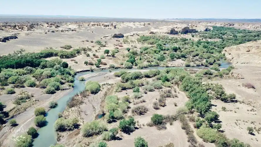 实拍白杨河大峡谷树木葱茏溪流潺潺却鲜为人知