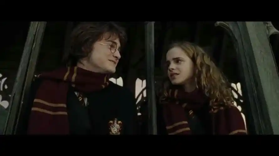 求哈利波特里赫敏和哈利在一起出现(干啥都行)的图片,越多越好