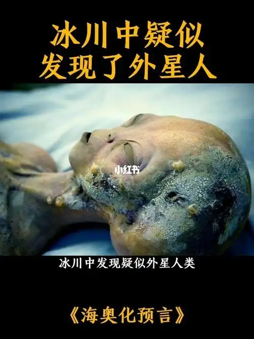 冰川中疑似发现了外星人