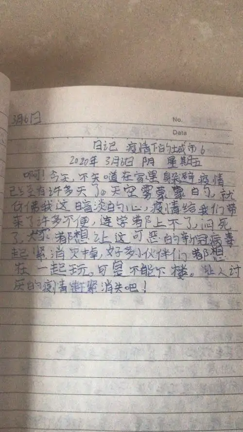 《疫情下的城市》—来自一个小学四年级学生的日记