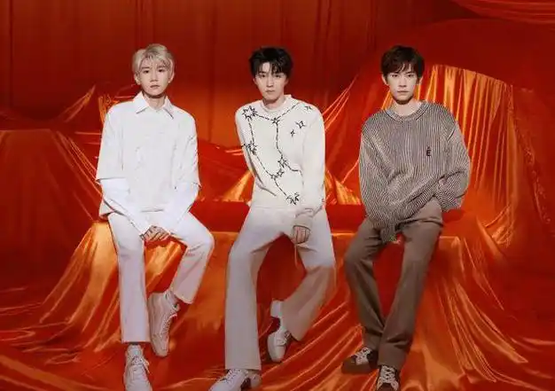 冲破安检,三小只发声|王源|追星|王俊凯|易烊千玺|综艺节目|tfboys