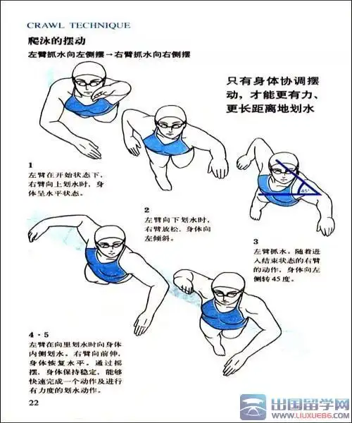 下面是出国留学网整理的游泳技巧之自由泳的动作要领,附带图解,祝大家