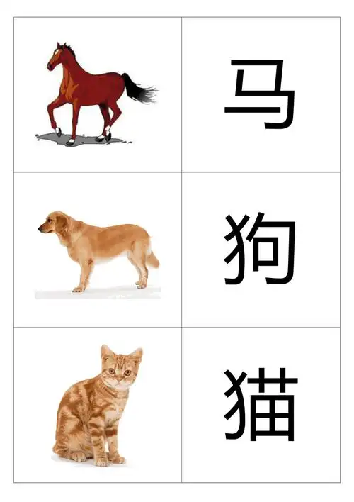 基础动物卡片幼儿识图doc