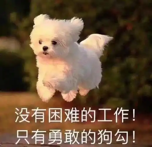 全网刷满了"打工人"语录,表情包,自嘲的同时,也诉说着充满干劲的鼓励