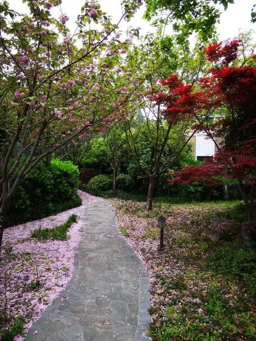 清风小区的"春景图",有我们共同的心灵密码