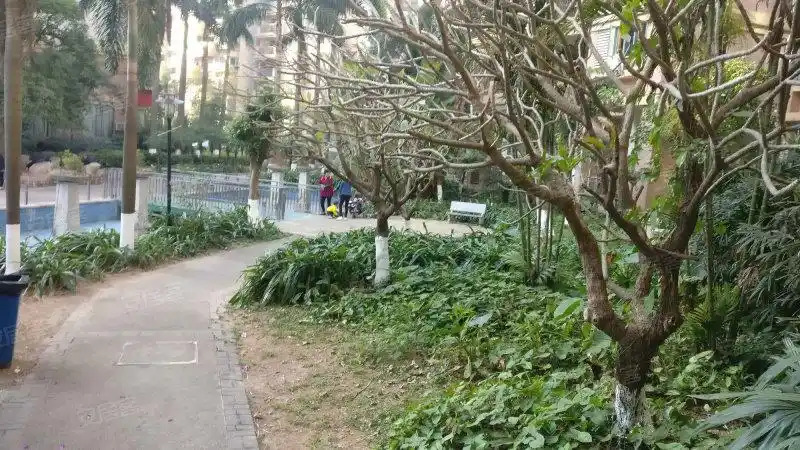 美丽花园,坦神北路117号-中山美丽花园二手房,租房,房价-中山安居客