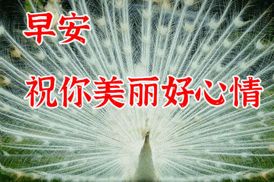 10月30日最漂亮早上好动态表情图片大全早晨好动图美图大全