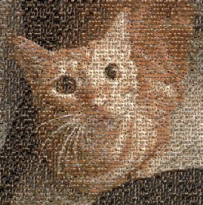 放大图片超惊喜!reddit:thunderingsacks