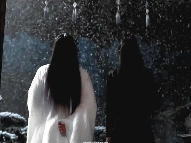 肖战魏无羡##王一博蓝忘机