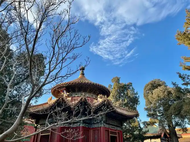 故宫御花园600岁绝美如初